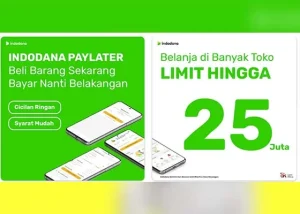 5 Cara Praktis untuk Aktifkan Limit Indodana Finance yang Dinonaktifkan