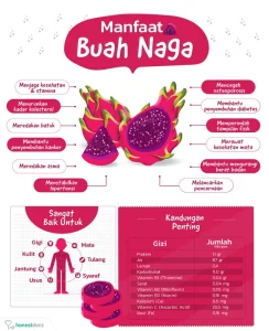 5 Manfaat Buah Naga yang Bikin Kaget, Simak Penjelasannya!