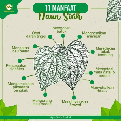 5 Manfaat Daun Sirih untuk Kontrol Diabetes, Simak Penjelasannya
