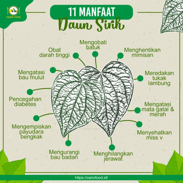 5 Manfaat Daun Sirih untuk Kontrol Diabetes, Simak Penjelasannya