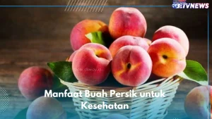 6 Manfaat Buah Persik untuk Kesehatan Wanita yang Wajib Diketahui