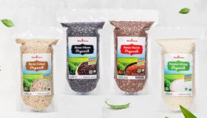 7 Rekomendasi Beras Organik Terbaik untuk MPASI Bayi