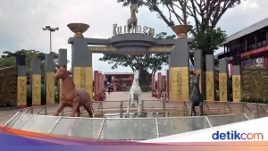 Asal Usul Suara Ringkikan Kuda yang Unik Terungkap Penelitian Terkini