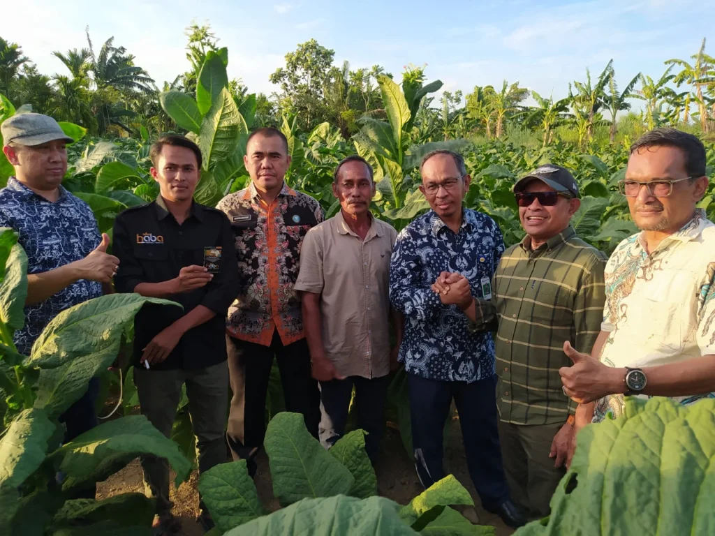 Bea Cukai Lhokseumawe Tinjau Potensi Ekspor Produk Tembakau di Aceh Tengah