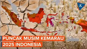 BMKG Prediksi Kemarau 2026 Lebih Kering dari Rata‑Rata 30 Tahun Terakhir, Waspada Dampak Luas