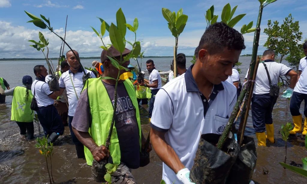 BNI Rehabilitasi 50 Ha Mangrove di Banyuwangi, Dorong Ekonomi 5.000 Warga
