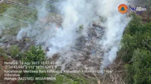 BNPB: 379,76 Ha Lahan Terbakar di Kalteng Sejak Januari 2026, Penambahan Akibat Kebakaran di Sukamara