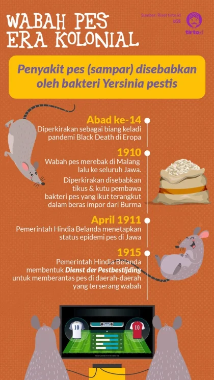 BRIN Ingatkan Risiko Kembalinya Wabah Pes di Indonesia, Masyarakat Diminta Waspada