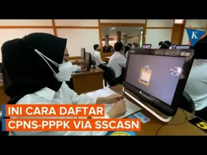 Cara Mudah Pengusulan BOSP Relaksasi untuk Guru PPPK PW: Panduan Lengkap dan Link Unduhan
