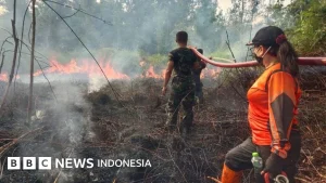 El Nino 2026 Diprediksi Sekuat 1997, Ahli Peringatkan Ancaman Kebakaran Hutan Ekstrem di Riau