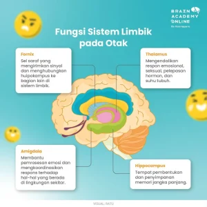 Emotional Flooding: Mengapa Saat Marah Otak Tidak Bisa Berpikir Jernih?