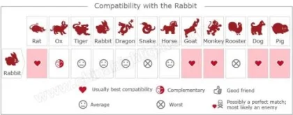 Empat Shio Terbaik untuk Kelinci: Kunci Hubungan Langgeng dan Harmonis