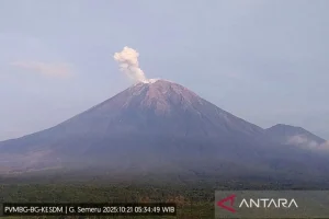 Gunung Semeru Erupsi Enam Kali, Kolom Letusan Mencapai 700 Meter di Atas Puncak