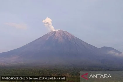 Gunung Semeru Erupsi Enam Kali, Kolom Letusan Mencapai 700 Meter di Atas Puncak