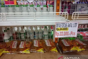Harga Kemasan Plastik Dorong Kenaikan Harga Minyak Goreng Domestik, Kata PASPI