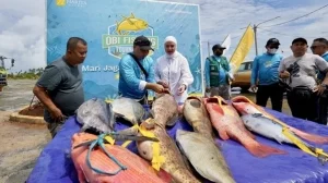 Hari Nelayan Nasional: Harita Nickel Dorong Kelestarian Laut dan Kesejahteraan Nelayan Pulau Obi