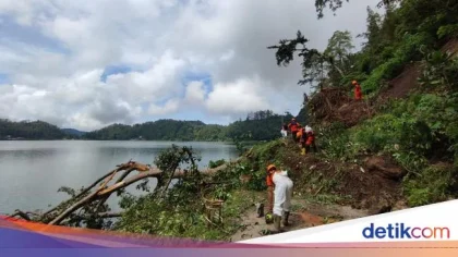 Hujan Deras Memicu Amblesnya Talud di Telaga Ngebel, Ponorogo Siapkan Langkah Darurat