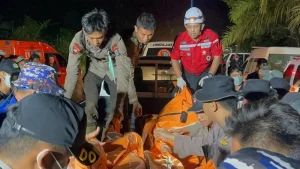 Identitas Semua Korban Kecelakaan Helikopter West Kalimantan Terungkap