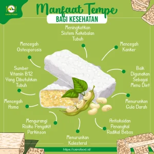 Ilmuwan Ungkap Vitamin Panjang Umur pada Tempe: Queuosine dan Manfaatnya bagi Kesehatan