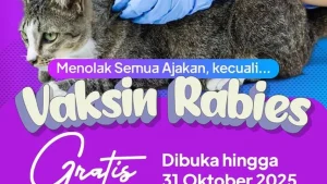 Jakarta Dorong Vaksinasi Rabies Gratis, Target 45 Ribu Hewan di 2026