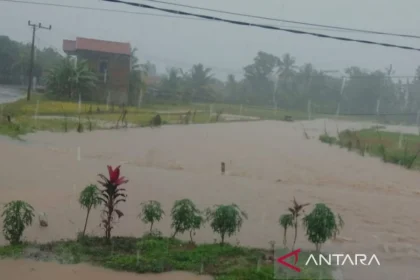 Jalan Utama Cianjur-Cibeber Terendam Banjir 1 Meter, Kendaraan Motor Tak Bisa Melintas