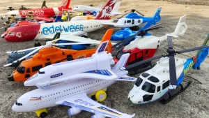 K-9 Polisi Clay County Terbang Helikopter Karena Cedera Paru Akut Akibat Paparan Ozon