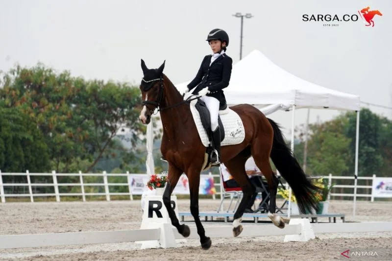 Kejuaraan Equestrian Semakin Bergulir, Pordasi Optimis Target Medali di Asian Games 2026