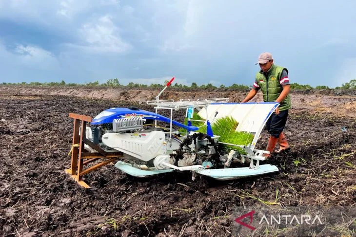 Kementan Rampungkan Gerakan Tanam Serempak Cetak Sawah Rakyat di Tanah Laut, Optimalkan Produksi Padi Nasional