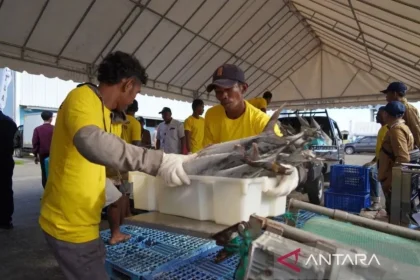 Mahasiswa Unri Dorong Digitalisasi Perikanan di Nagari Koto Kaciak, Agam, Tingkatkan Ekonomi Warga
