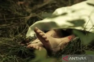 Mayat Tanpa Identitas Ditemukan di Kali Depan Markas TNI AL Jakarta Utara, Polisi Lakukan Investigasi