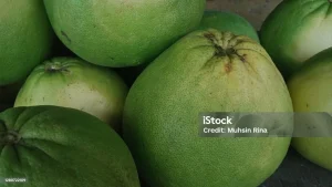 Menguak Bias Penilaian: Mengapa Kita Sering Dipertemukan dengan Orang Sejenis