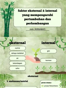 Menguak Faktor Pertumbuhan dan Perkembangan Anak: Internal vs Eksternal