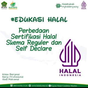 Mengungkap Perbedaan Mendasar Sertifikasi Halal dan Syariah yang Sering Disalahpahami