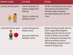 Obesitas Gender: Mengapa Laki-laki dan Perempuan Memerlukan Penanganan Berbeda