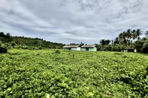 Peluang Karir Kementerian PU di Kalimantan dan BBWS Kapuas April 2026: Siapkan Berkas Pendaftaran Sekarang