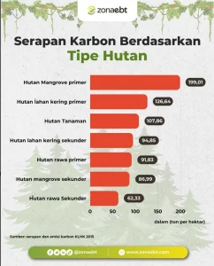 Pemerintah Resmi Izinkan Perdagangan Karbon di Berbagai Tipe Hutan