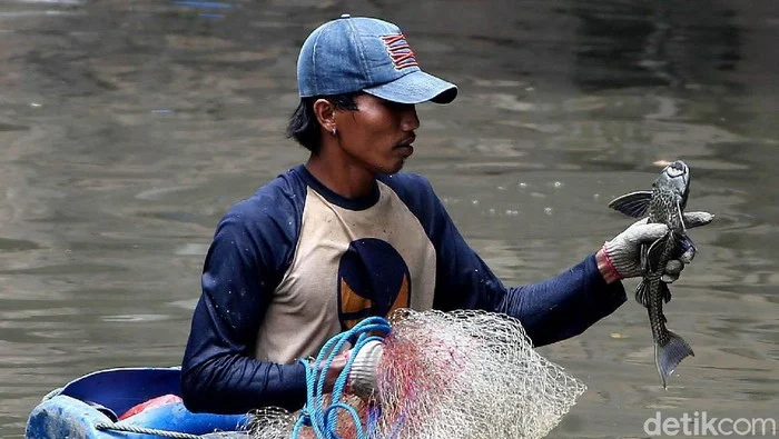 Penangkapan Ikan Sapu‑Sapu di Aliran Kali Jakut Capai Total 200 Kg, Petugas Gunakan Jaring Besar dan Cara Manual