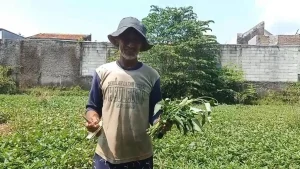 Penjual Kangkung Niran Akhirnya Berangkat Haji Setelah Menabung Sejak 1963