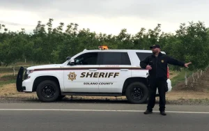 Penyerang Tancap K-9 di Kantor Sheriff Solano County Setelah Kejaran Lambat