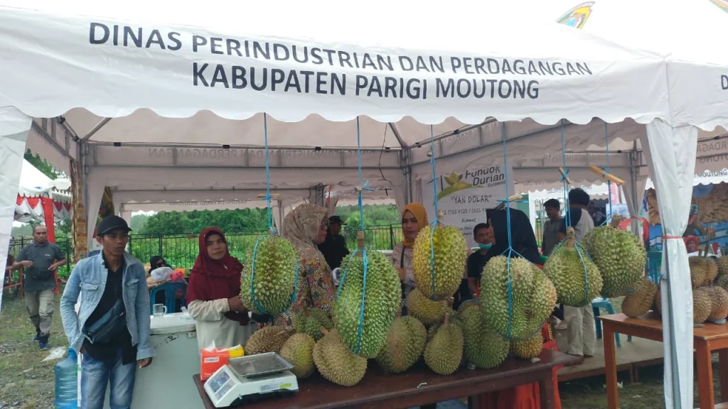 Potensi Ekspor Durian Parigi Moutong Capai US$58,33 Juta, Buka Peluang Pasar Global