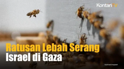 Puluhan Ribu Lebah ‘Serbu’ Kota Netivot, Israel: Fenomena Langka Mengguncang Warga