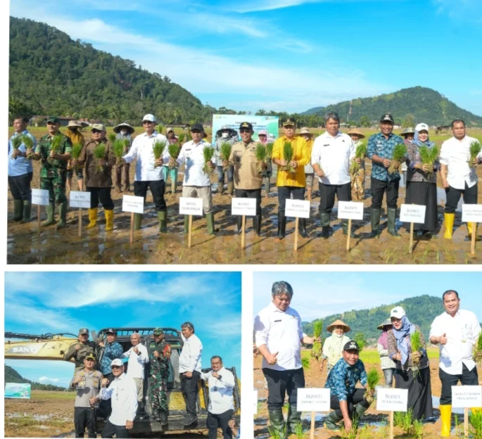 Rehabilitasi Sawah: Ribuan Hektare Dipulihkan untuk Jamin Ketahanan Pangan