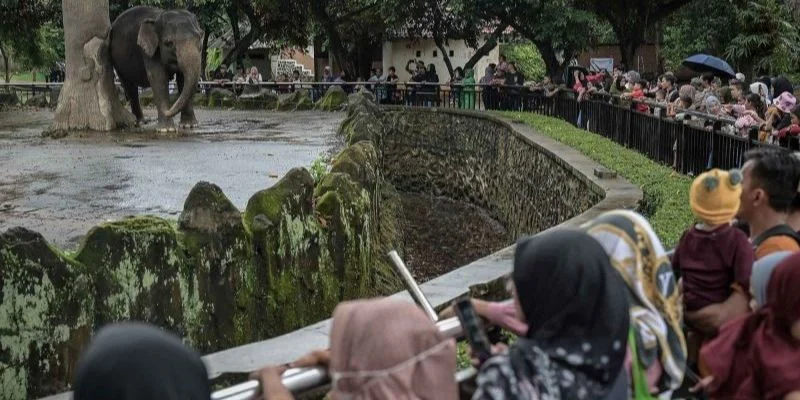 Ribuan Pengunjung Manjakan Libur Panjang Paskah di Taman Margasatwa Ragunan