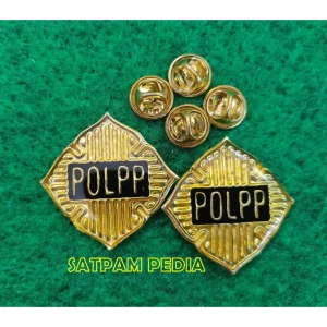 Satpol PP Minta Tambah 5 Ribu Personel, Rano Karno Soroti Jumlah Pemadam Kebakaran yang Hanya 11 Ribu
