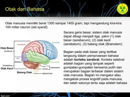 Sinkronisasi Otak Ibu dan Anak Terjaga Meski Berbeda Bahasa, Ungkap Studi Neurologi