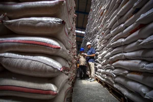 Stok Beras Bulog Capai Rekor 5 Juta Ton, Amran Janjikan Keamanan Pangan 11 Bulan