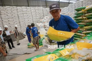 Stok Beras Melimpah, Gudang Kesulitan Simpan: Pemerintah Targetkan Pasar Ekspor