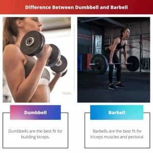 Tak Sama, Ini Perbedaan Dumbell dan Barbel yang Wajib Diketahui