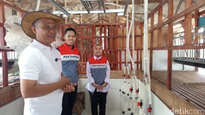 UMKM Susu Kambing Ras Farm Capai 100 Ekor, Tumbuh Pesat Berkat KUR BRI