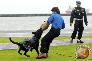 Video Bodycam: Pria Gigit Anjing Polisi saat Menolak Penangkapan di Florence